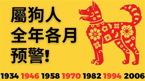 2023屬狗運勢1970|属狗人2023年全年运势详解 属狗2023年运势及运程每月运程